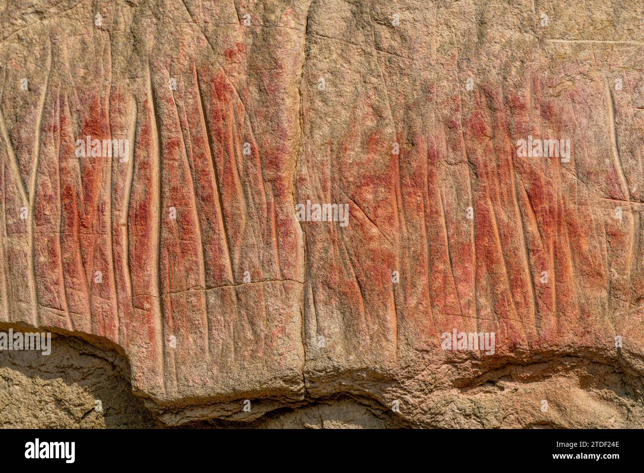 Sculture di roccia indiane, parco provinciale di Writing-on-Stone, sito patrimonio dell'umanità dell'UNESCO, Alberta, Canada, Nord America Foto Stock