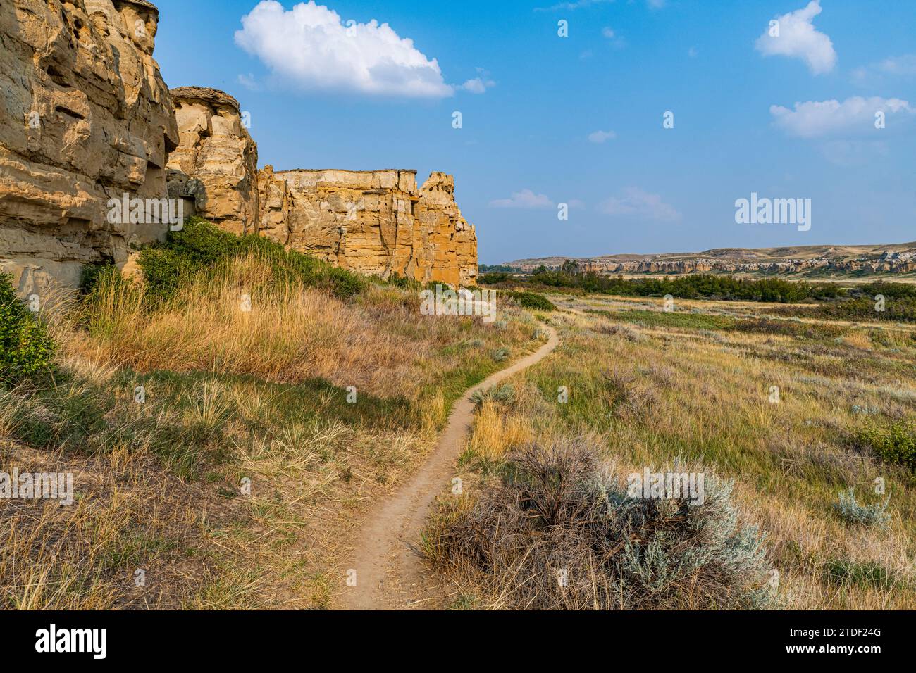 Hoodoos lungo il fiume Milk, Writing-on-Stone Provincial Park, sito patrimonio dell'umanità dell'UNESCO, Alberta, Canada, Nord America Foto Stock