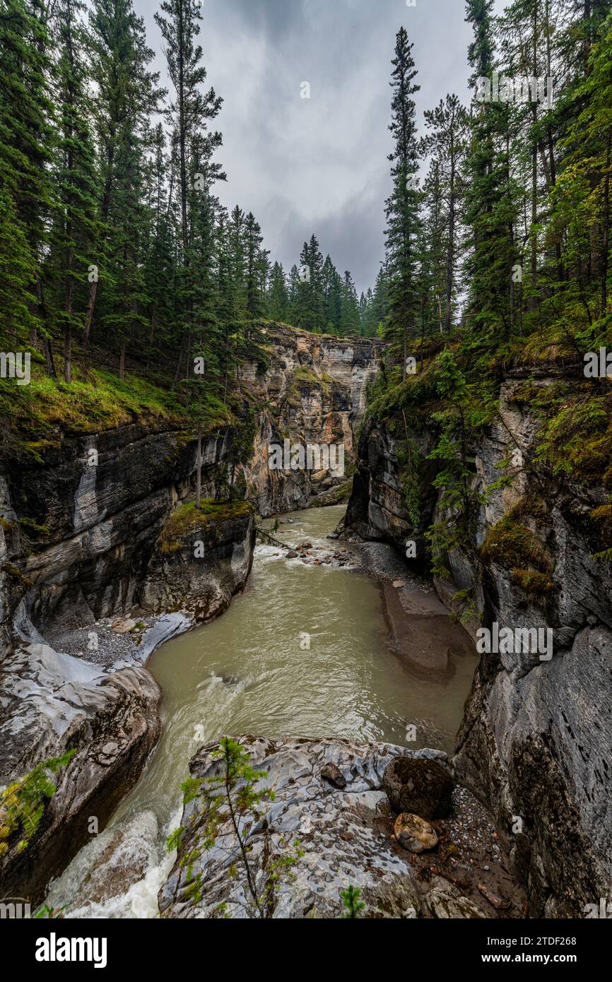 Maligne Canyon, Jasper National Park, sito patrimonio dell'umanità dell'UNESCO, Alberta, Montagne Rocciose canadesi, Canada, Nord America Foto Stock