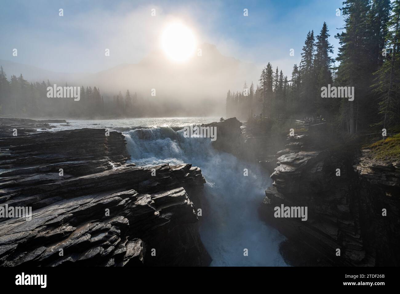 Cascate di Athabasca all'alba, Glacier Parkway, Jasper National Park, sito patrimonio dell'umanità dell'UNESCO, Alberta, Montagne Rocciose canadesi, Canada, Nord America Foto Stock