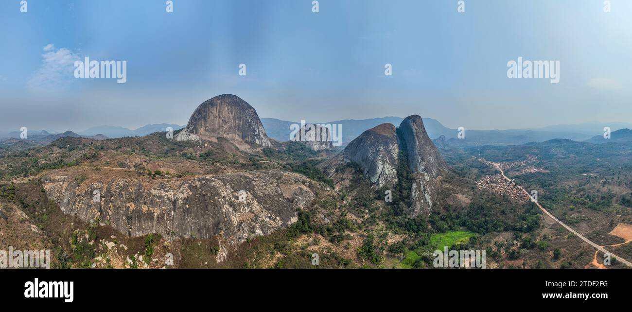 Conda, Kumbira Forest Reserve, Kwanza sul, Angola, Africa Foto Stock