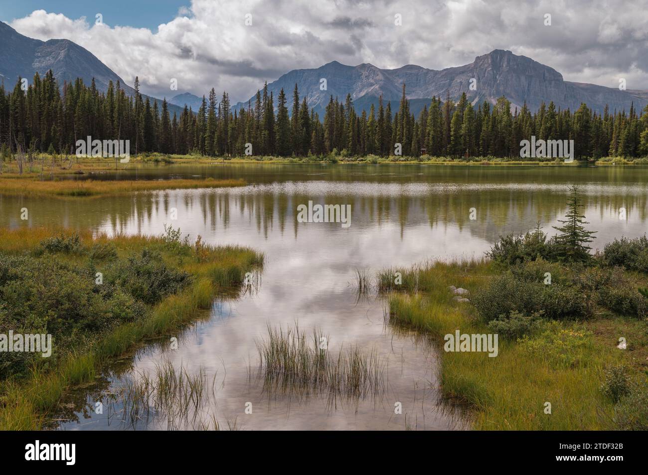 Mountain Lake, Spray Valley Provincial Park, Canadian Rocky Mountains, Alberta, Canada, Nord America Foto Stock