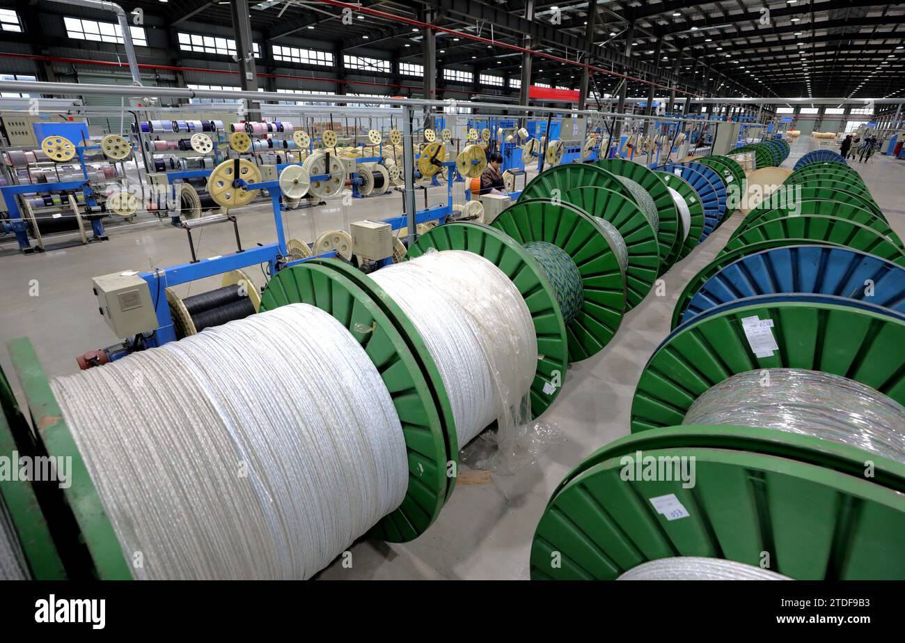 ANQING, CINA - 15 DICEMBRE 2023 - i lavoratori eseguono il raggruppamento di fibre su una linea di rivestimento in plastica in un laboratorio di produzione nella città di Anqing, provincia di Anhui, Foto Stock