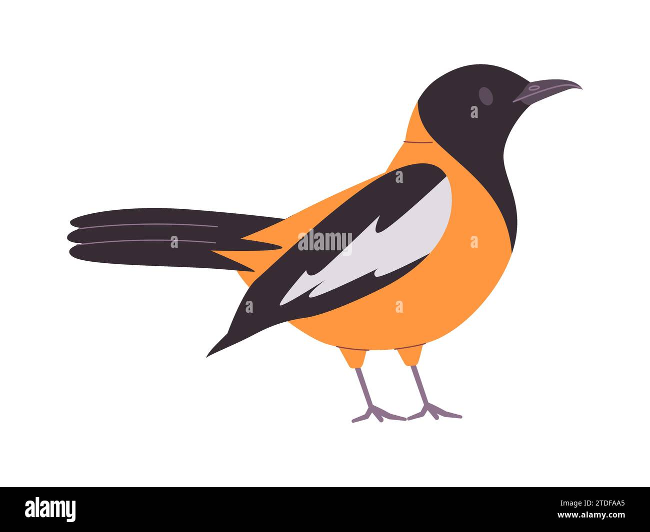 piccolo uccello di colore giallo e nero troupiale venezuelano bella specie animale naturale selvatico Illustrazione Vettoriale