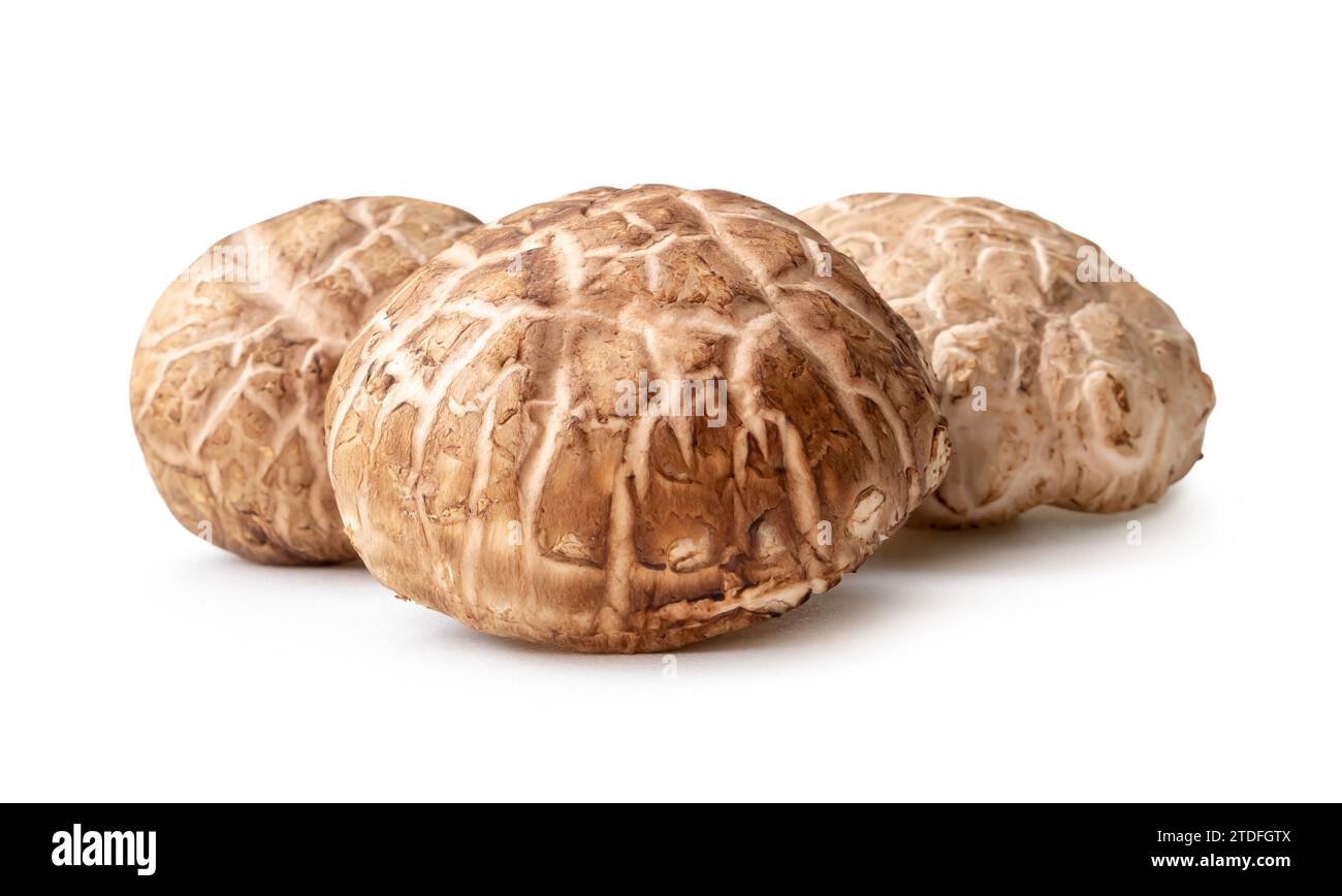 I funghi shiitake freschi e secchi in pila sono isolati su sfondo bianco con un percorso di ritaglio. Erbe giapponesi e cinesi Foto Stock