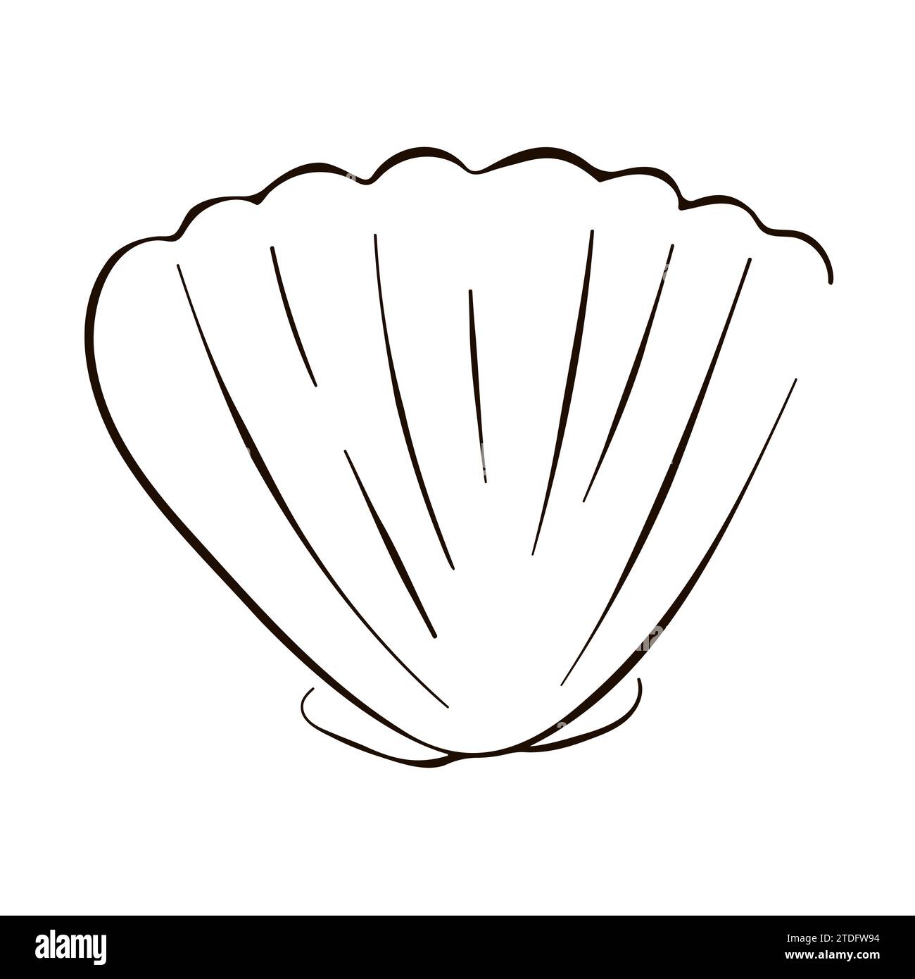 Conchiglia sottomarina capesante in stile art-line. Design estivo per logo, icona, camicia, prodotti. Illustrazione vettoriale isolata su sfondo bianco. Illustrazione Vettoriale