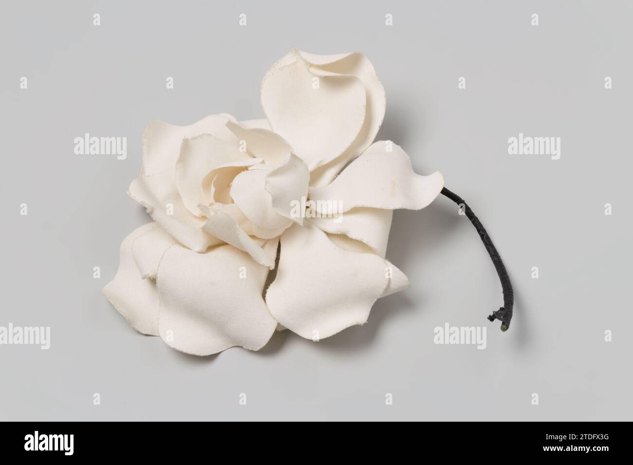 Corsage di peonia bianca di lino con steli di filo di ferro avvolti con carta verde, anonimo, c. 1930 - c. 1950 corsage di fiori, peonia bianca di lino con steli di filo di ferro avvolti con carta verde. Fiore dei Paesi Bassi: Lino (materiale). Acciaio: Carta. Acciaio: Corsage di fiori, peonia bianca di lino con steli di filo di ferro avvolti con carta verde. Fiore dei Paesi Bassi: Lino (materiale). Acciaio: Carta. Acciaio: Foto Stock