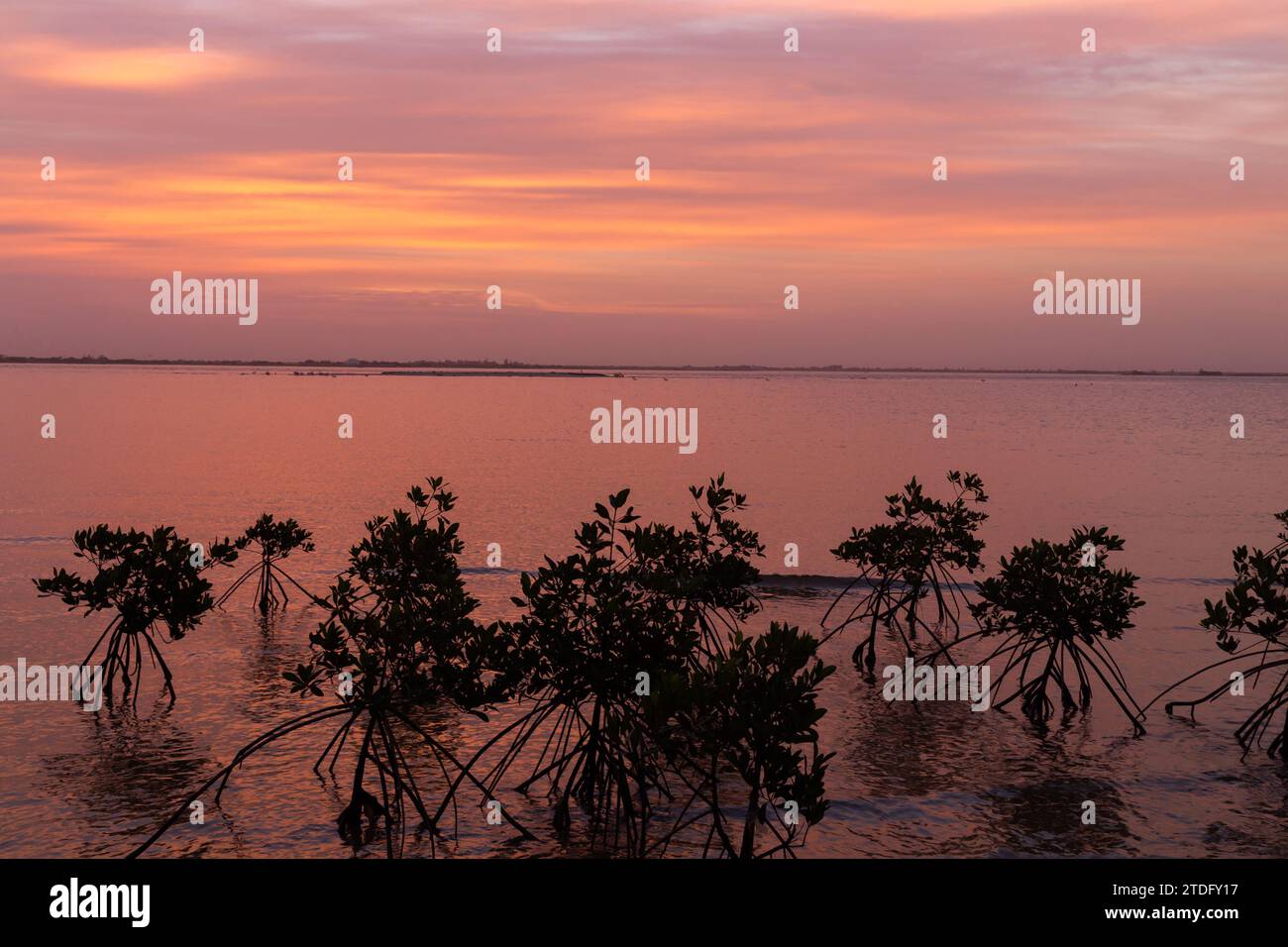 Tramonto sul Delta del Senegal di Sine Saloum Foto Stock