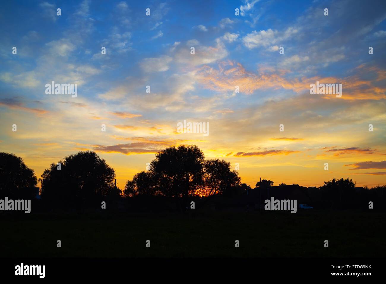 Pittoresco tramonto in campagna. Sagome di alberi contro il cielo al tramonto. Foto Stock