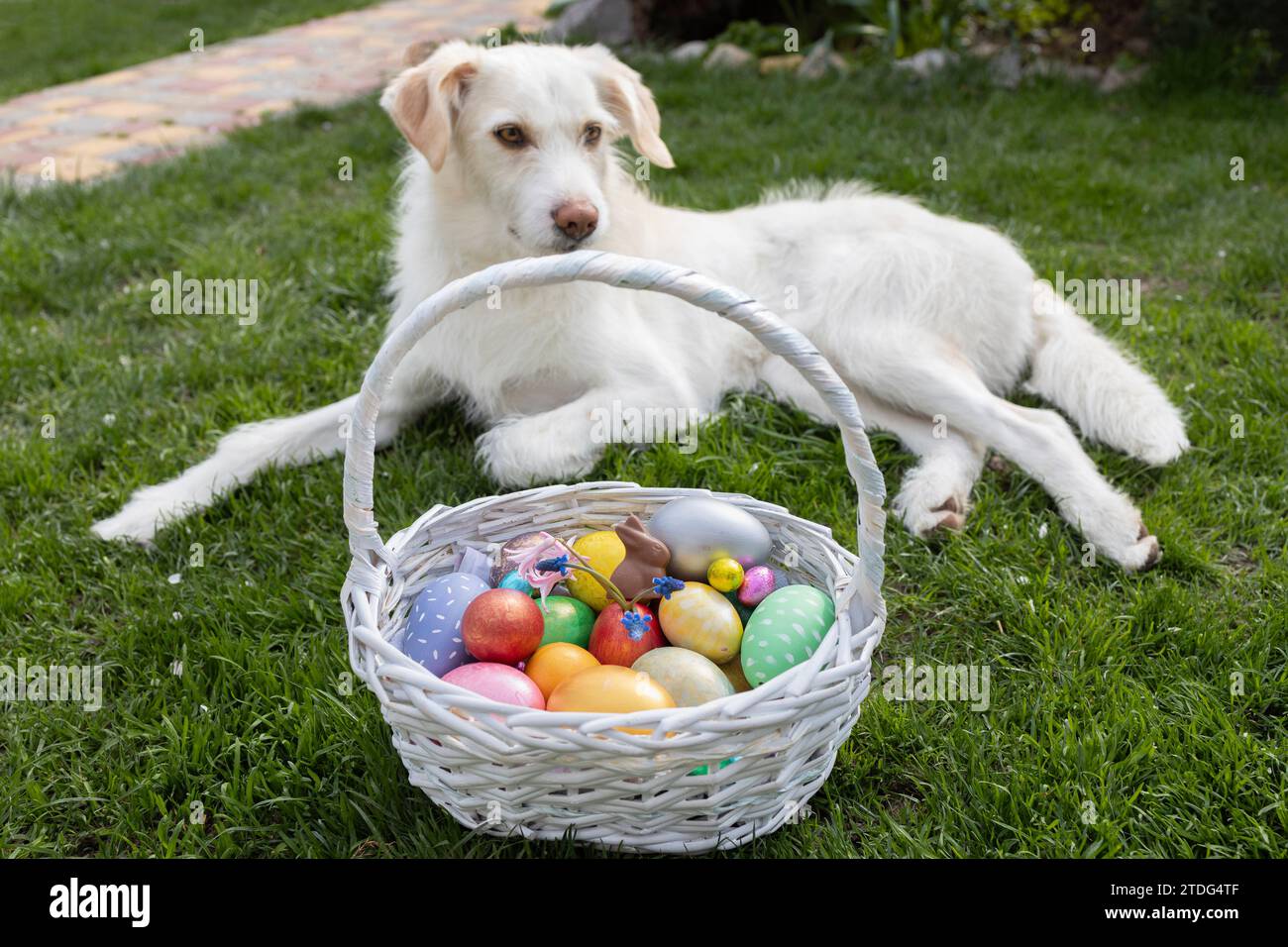 Violet Evergarden Figure Scarica Pittura Di Uova Di Pasqua Con