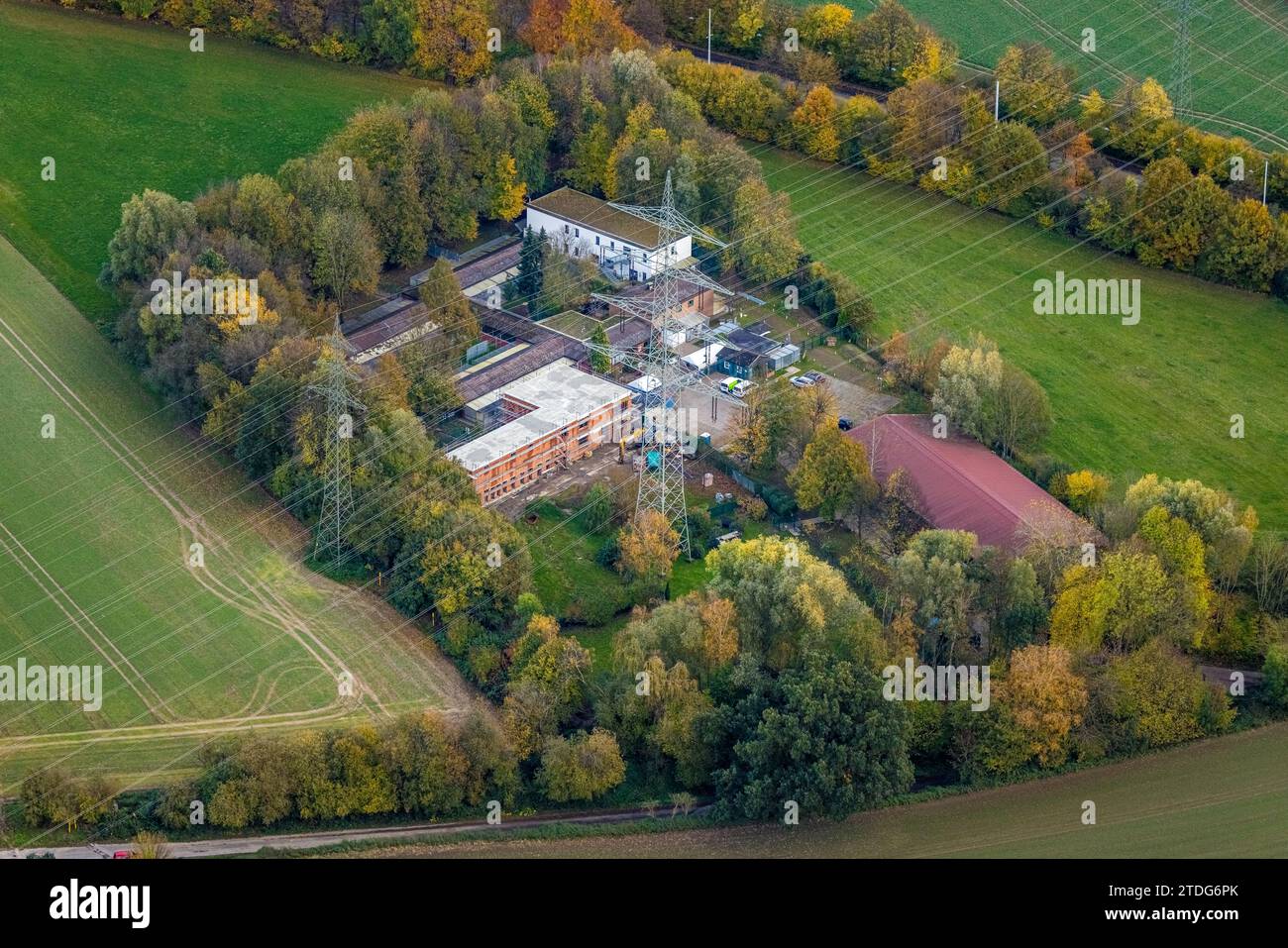Vista aerea, rifugio per animali Bochum organizzazione per il benessere degli animali in mezzo a alberi decidui autunnali, sito previsto per lo stadio della Bundesliga Vonov Foto Stock