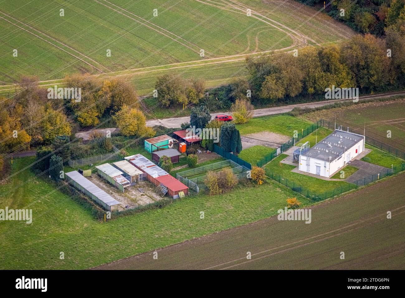 Vista aerea, rifugio per animali colonia di fogliame di Bochum organizzazione per il benessere degli animali in mezzo a alberi decidui autunnali, sito previsto per la Bundeslig Foto Stock