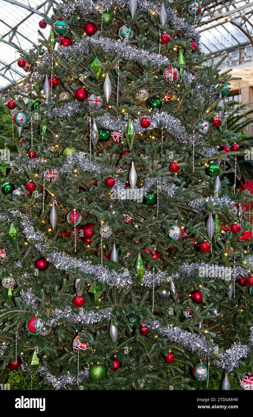 Albero di Natale decorato; festivo; festivo; grande, bello; colorato; ornamenti in vetro, ghirlanda argentata, ghiaccioli, Longwood Gardens Conservatory, Kenne Foto Stock