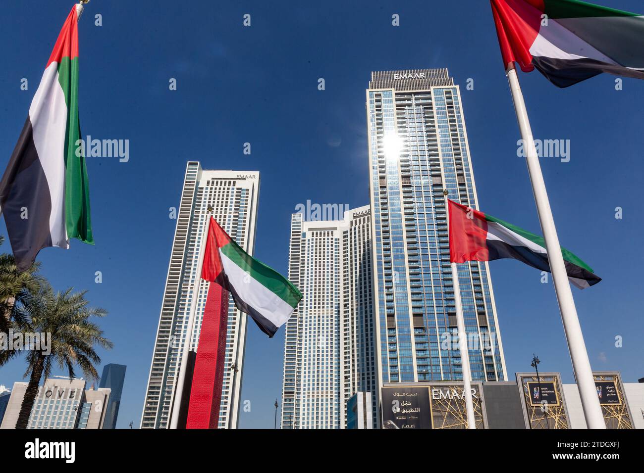 Dubai, Emirati Arabi Uniti. 18 dicembre 2023. Le bandiere nazionali degli Emirati Arabi Uniti sono viste contro l'architettura moderna nel centro di Dubai, Emirati Arabi Uniti, in una calda mattinata. Credito: Dominika Zarzycka/Alamy Live News Foto Stock
