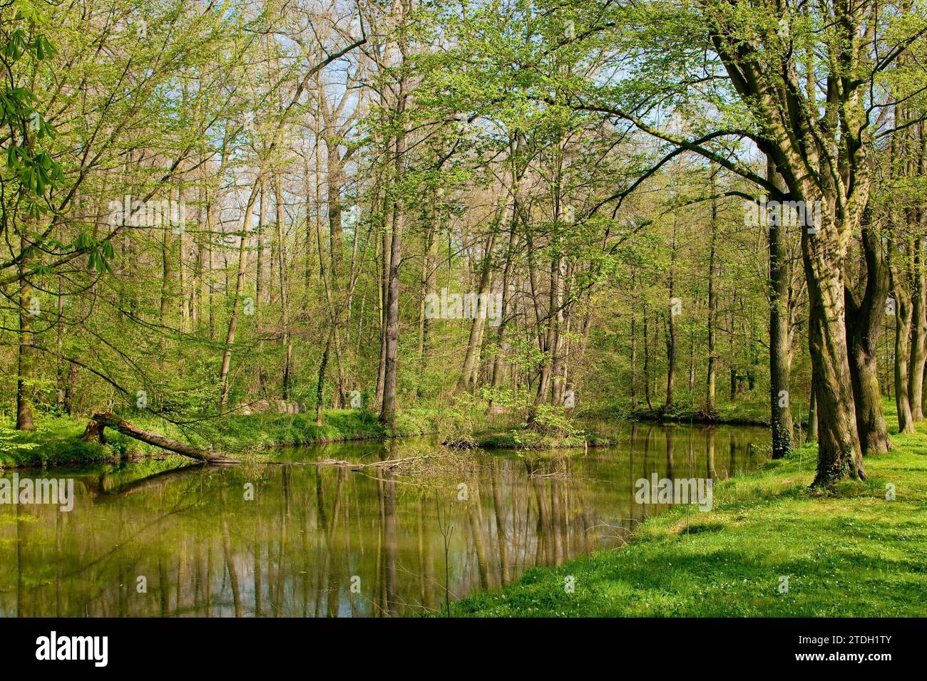 Parco del castello di Jahnishausen Foto Stock