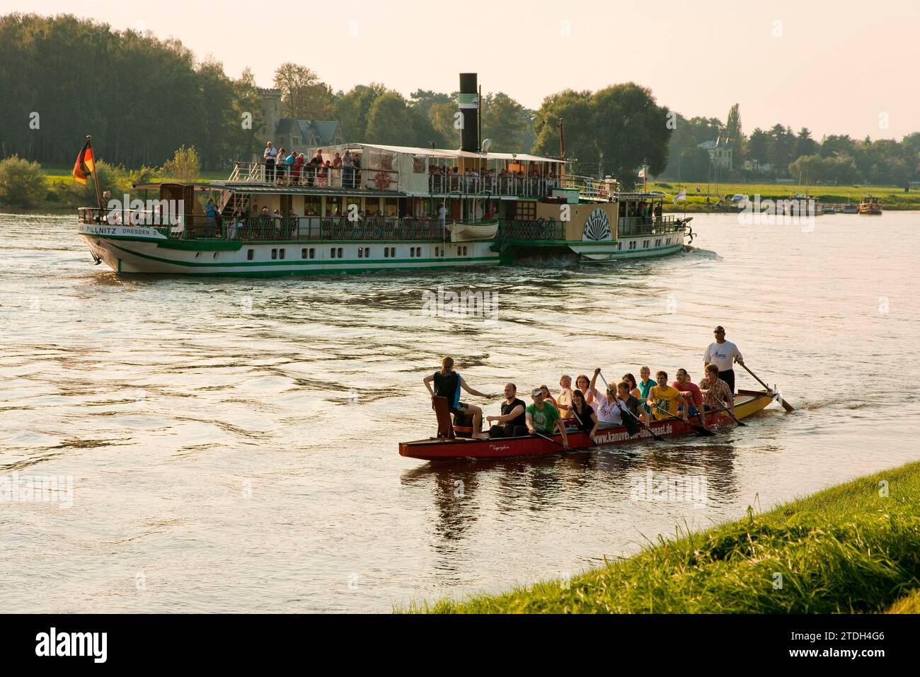 Dragon boat dal club di canoa Laubegast sull'Elba Foto Stock