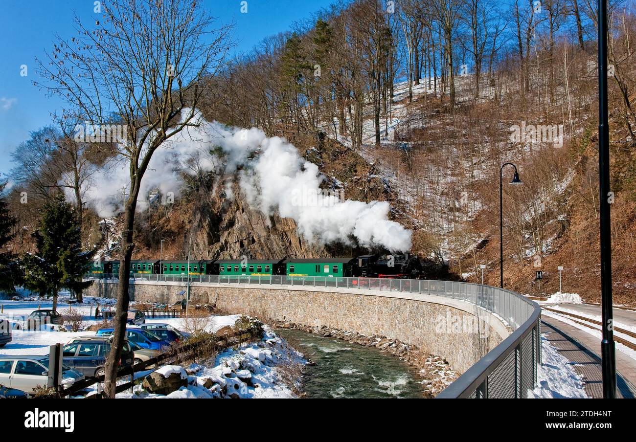 Piccola ferrovia nel Rabenauer Grund Foto Stock