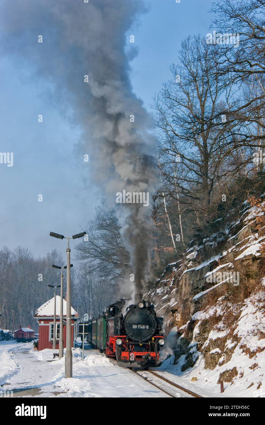 Piccola ferrovia a Seifersdorf Foto Stock