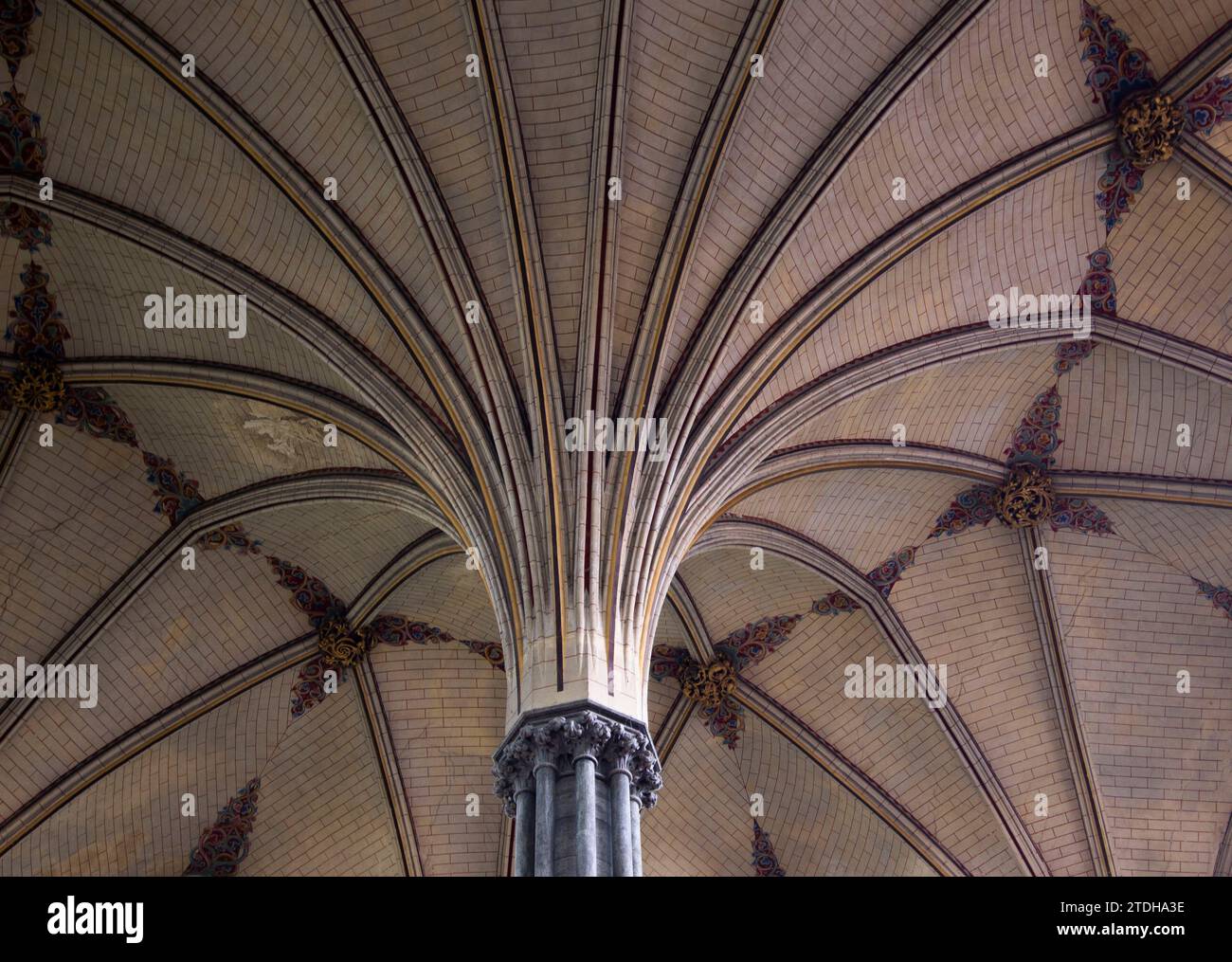 Soffitto della casa capitolare della cattedrale di Salisbury dove è conservata una copia della Magna carta Foto Stock