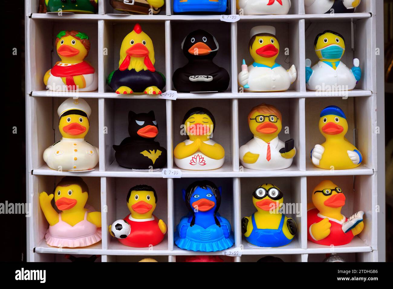 Personaggi assortiti di divertenti anatre da bagno in gomma, in un negozio di articoli da regalo nel centro di Bath. Dicembre 2023. Foto Stock
