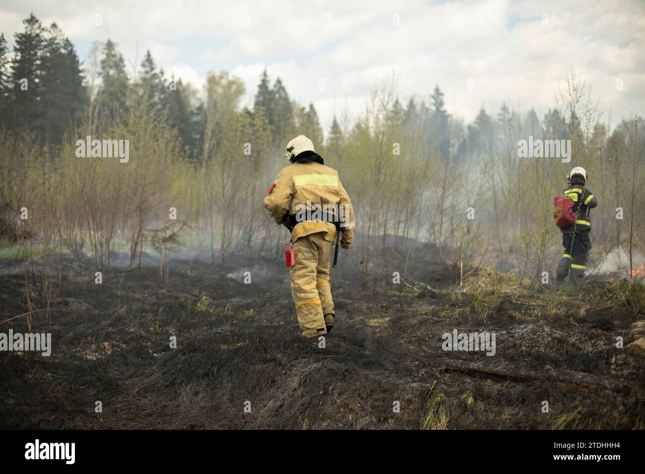 Il bagnino spegne l'erba secca. Il vigile del fuoco controlla il luogo di accensione. Problema ambientale. Uomo con mezzi speciali per estinguere il fuoco. Foto Stock