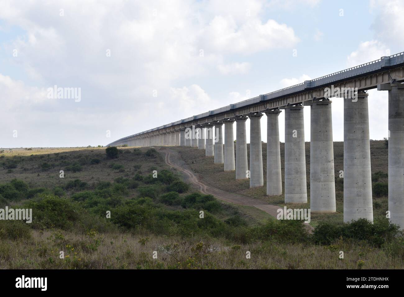 Una lunga ferrovia sopraelevata sostenuta da grandi pilastri di cemento che si stagliano oltre l'orizzonte nel Parco Nazionale di Nairobi Foto Stock