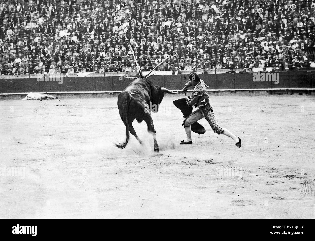 08/31/1913. Nuova piazza a Barcellona. Francisco Martin Vázquez al suo primo Bull. Crediti: Album / Archivo ABC / José Arija Foto Stock
