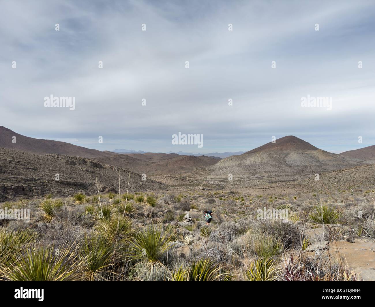 L'escursionista si dirige verso il Wilderness of Telephone Canyon a Big Bend Foto Stock