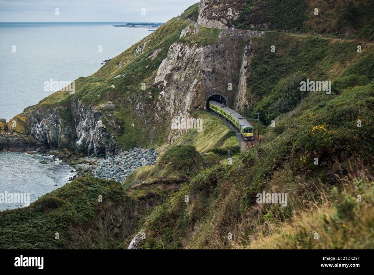 Treno DART che emerge da un tunnel di scogliera sulla Bray to Greystones Walk a Bray Head, County Wicklow. Vista sulla costa con scogliere e il Mare d'Irlanda. Foto Stock