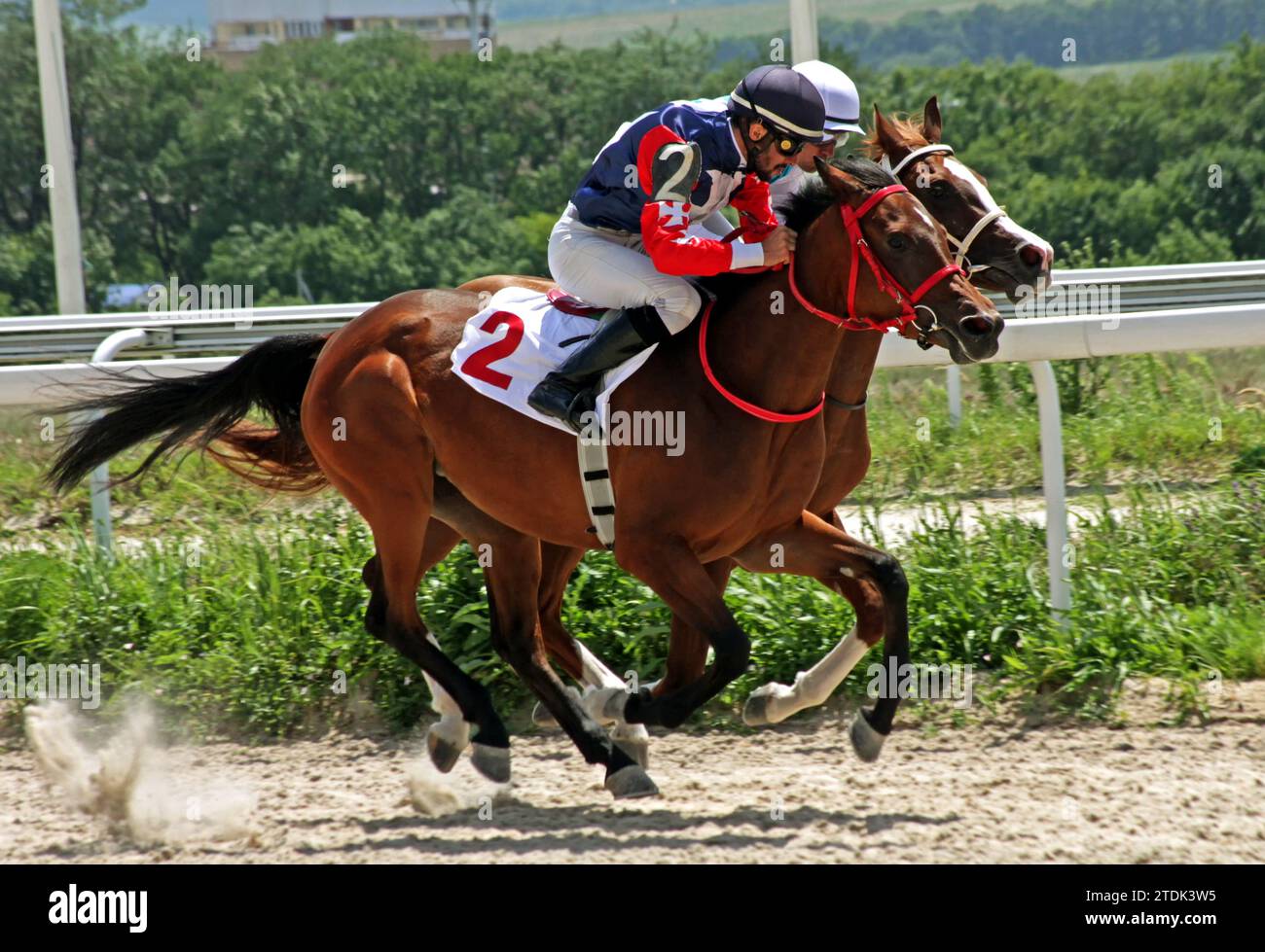 PYATIGORSK, RUSSIA - 15 LUGLIO 2023: Corsa di cavalli per il premio Prohorova nell'ippodromo di Pyatigorsk, Caucaso settentrionale. Foto Stock