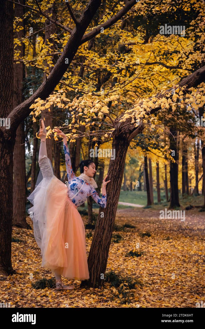 I ballerini asiatici ballano nella foresta, l'arte di ballare in natura Foto Stock