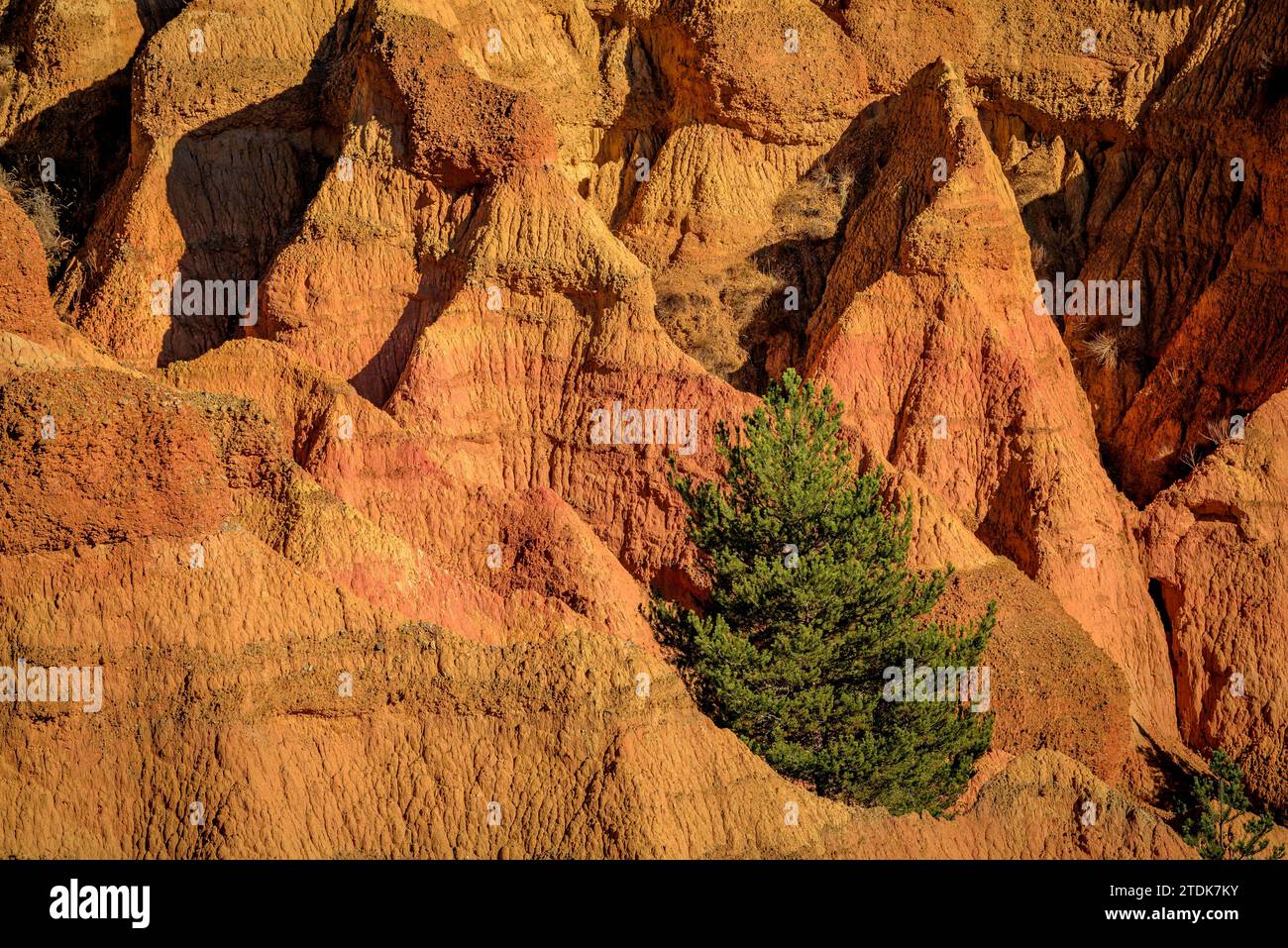 Esterregalls d'all (calanchi), una formazione geologica causata dall'erosione nei pressi di tutti i villaggi (Cerdanya, Catalogna, Spagna, Pirenei) Foto Stock