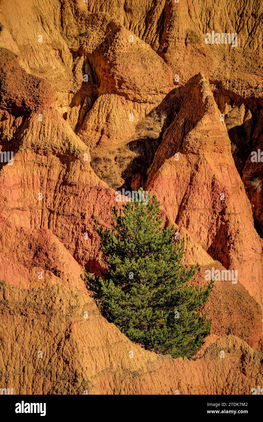 Esterregalls d'all (calanchi), una formazione geologica causata dall'erosione nei pressi di tutti i villaggi (Cerdanya, Catalogna, Spagna, Pirenei) Foto Stock