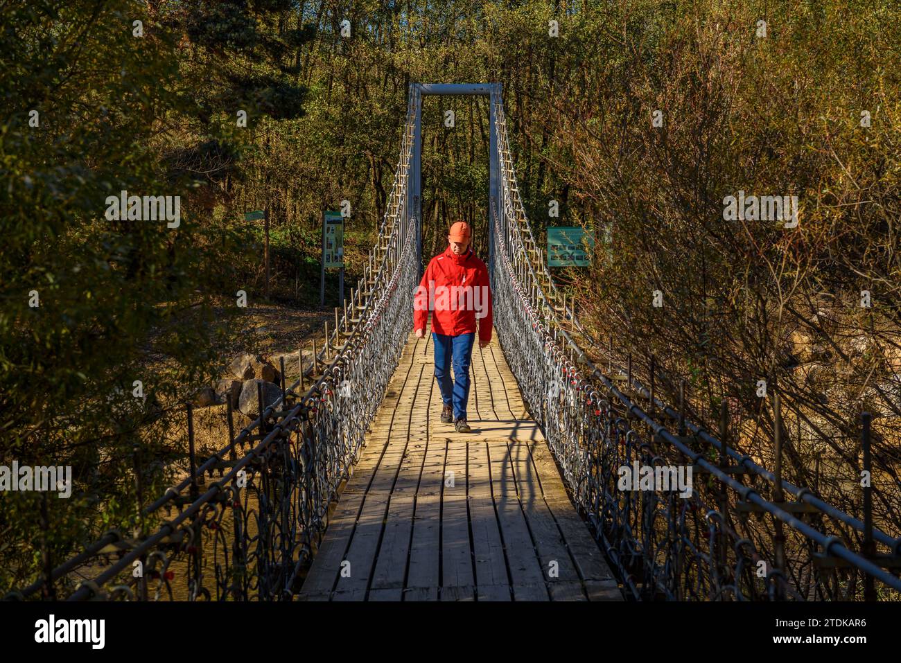 Ponte pedonale sospeso sul fiume Segre in autunno (Cerdanya, Girona, Catalogna, Spagna, Pirenei). Esempio: Pasarela del puente colgante sobre el Segre Foto Stock