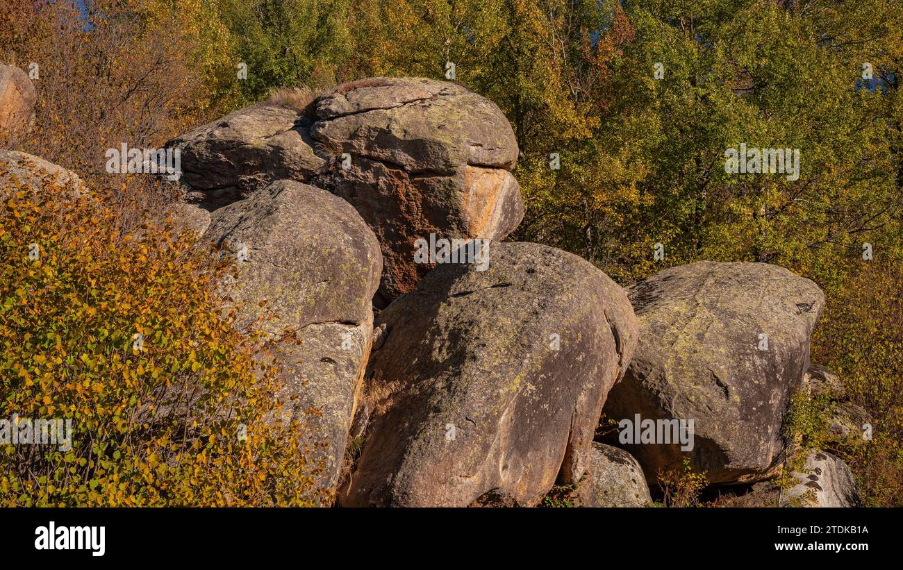 Targasonne Chaos, formato da blocchi di roccia tra la foresta con colori autunnali (Haute Cerdagne, Pyrénées-Orientales, Occitania, Francia) Foto Stock