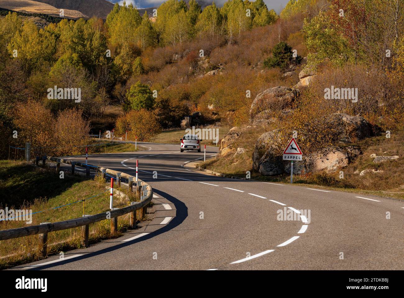 Targasonne Chaos, formato da blocchi di roccia tra la foresta con colori autunnali (Haute Cerdagne, Pyrénées-Orientales, Occitania, Francia) Foto Stock