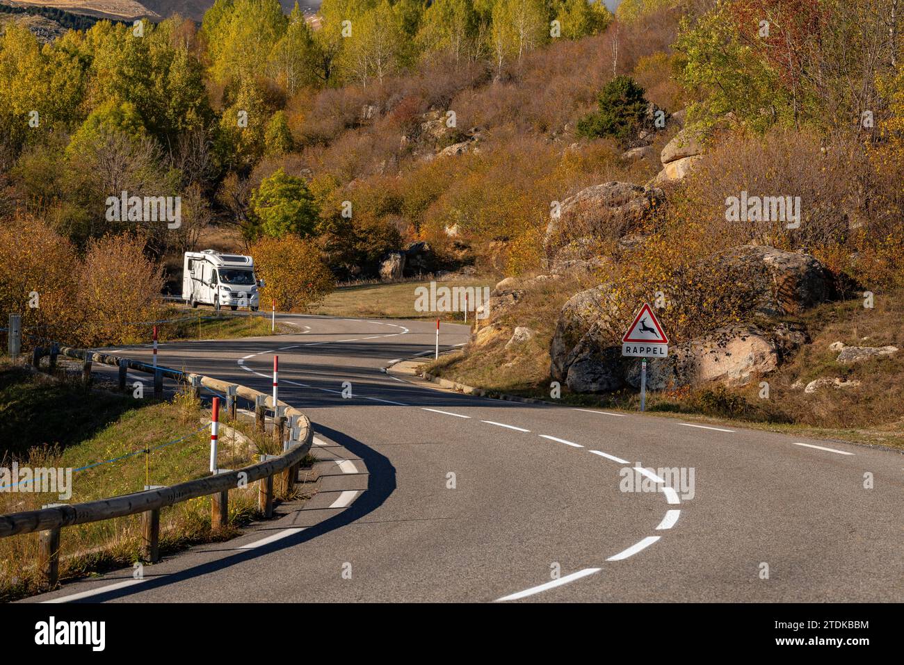 Targasonne Chaos, formato da blocchi di roccia tra la foresta con colori autunnali (Haute Cerdagne, Pyrénées-Orientales, Occitania, Francia) Foto Stock