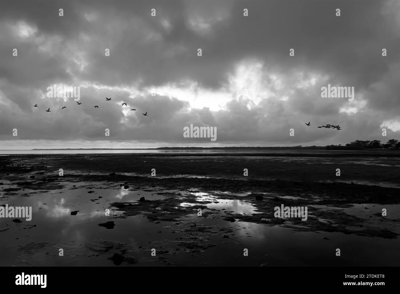 Splendide immagini della natura e della spiaggia all'alba, catturate con colori vivaci, la natura è arte, e sono perfette per stampe d'arte. Foto Stock