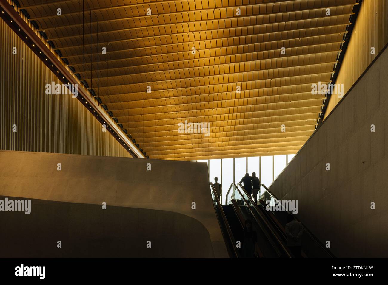 L'interno del Museo del Palazzo di Hong Kong è stato progettato da Rocco Architects nel quartiere culturale di West Kowloon Foto Stock
