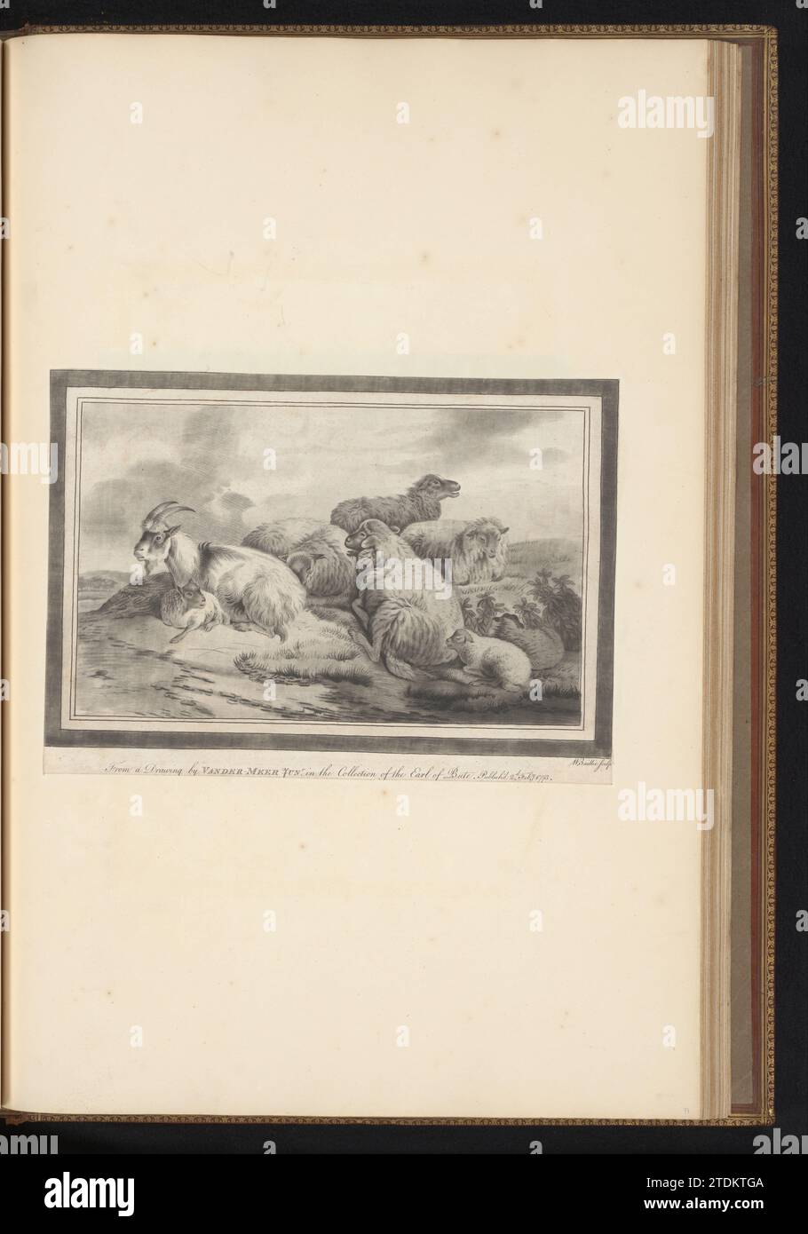 Sei pecore e due capre, William Baillie, dopo Jan van der Meer (II), 1773 la stampa fa parte di un album. Carta la stampa fa parte di un album. carta Foto Stock