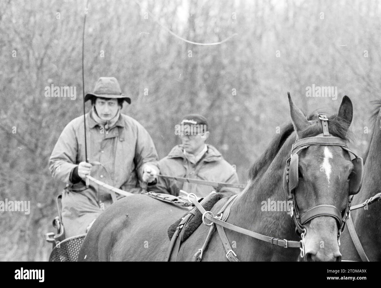 2 cavalli e una carrozza aperta, 00-03-1992, Whizgle News from the Past, su misura per il futuro. Esplora le narrazioni storiche, l'immagine dell'agenzia olandese olandese con una prospettiva moderna, colmando il divario tra gli eventi di ieri e quelli di domani. Un viaggio senza tempo che delinea le storie che plasmano il nostro futuro Foto Stock