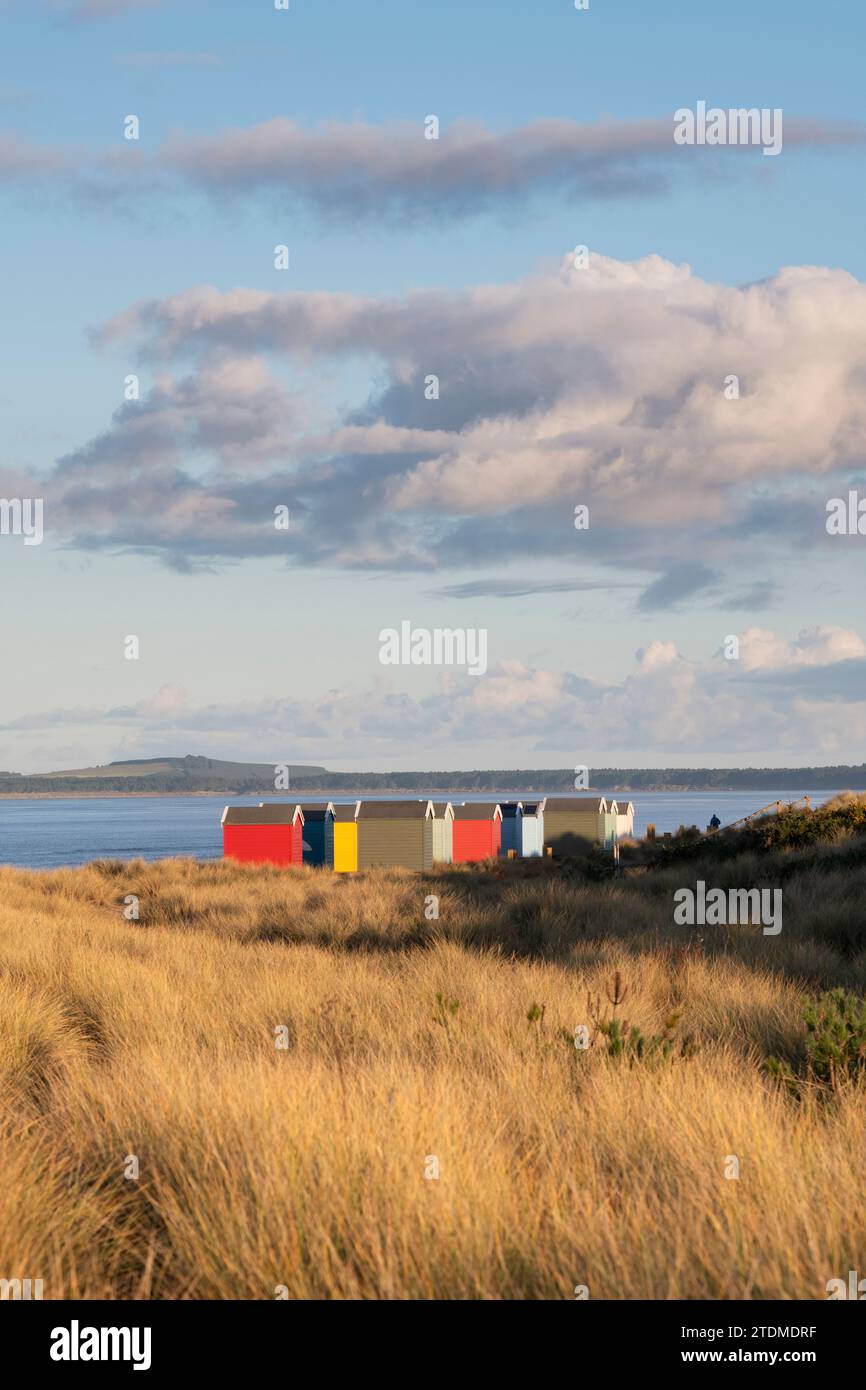 Rifugi sulla spiaggia di Findhorn. Morayshire, Scozia Foto Stock