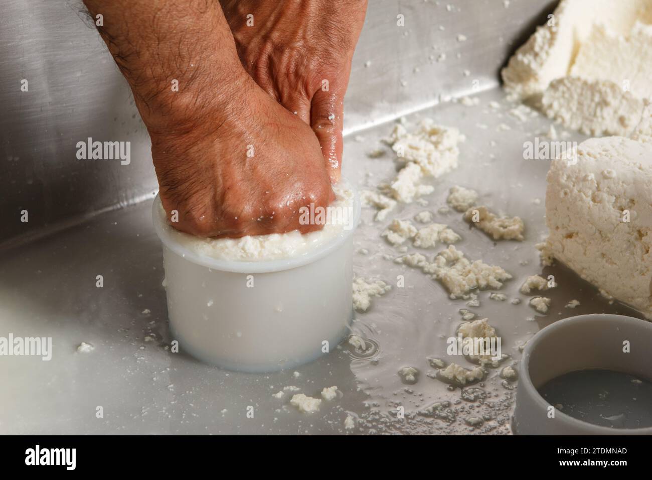 Produzione di formaggio artigianale, caglio e confezionamento in stampi a misura Foto Stock