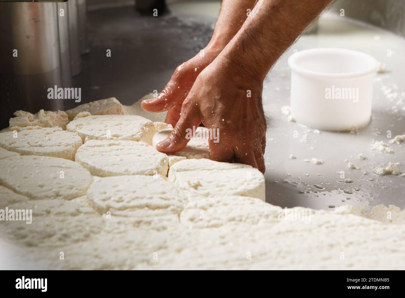 Produzione di formaggio artigianale, caglio e confezionamento in stampi a misura Foto Stock