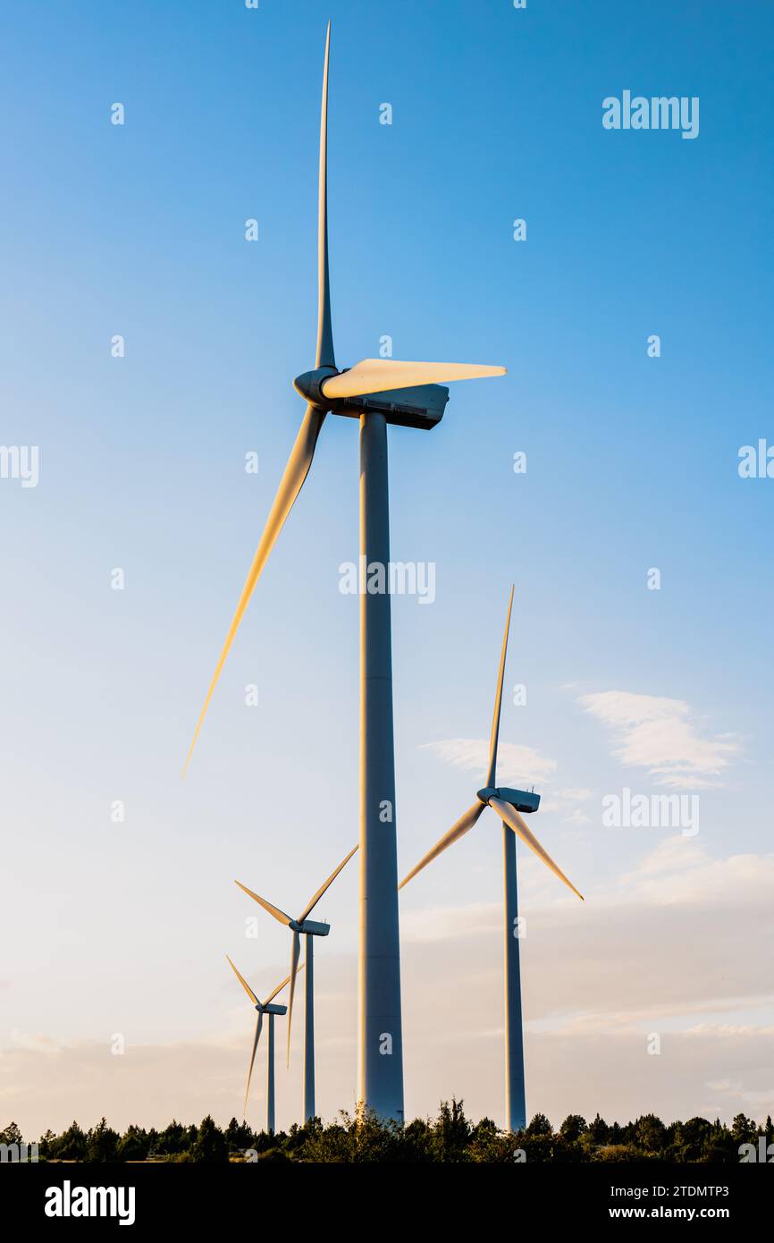 Produzione di energia elettrica di turbine eoliche a energia rinnovabile a Maranchon, Guadalajara Foto Stock