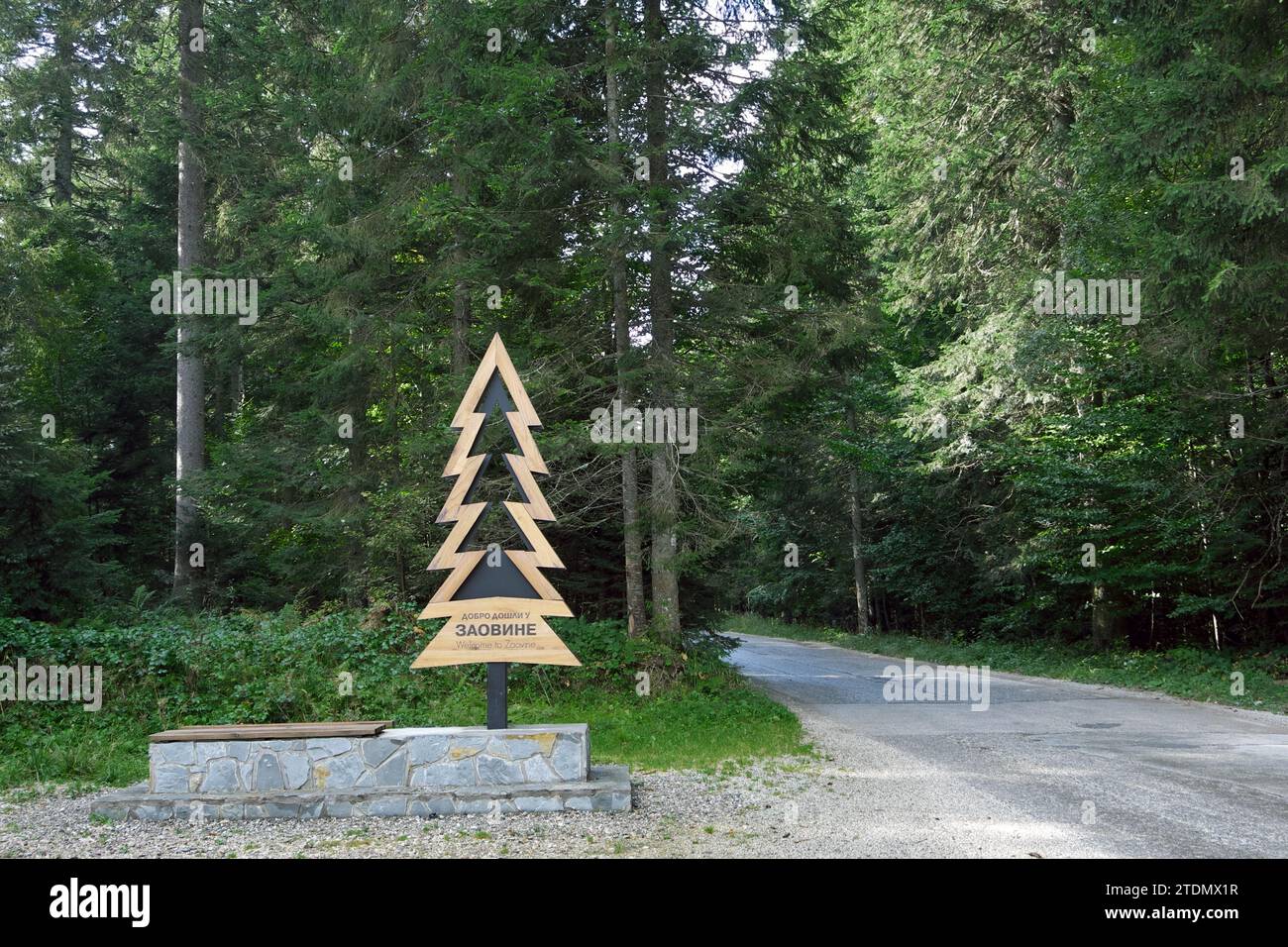 "Benvenuti a Zaovine" alfabeto latino-inglese e alfabeto cirillico serbo su pino di legno stilizzato, sullo sfondo della foresta di abeti, Parco Nazionale di Tara, Foto Stock