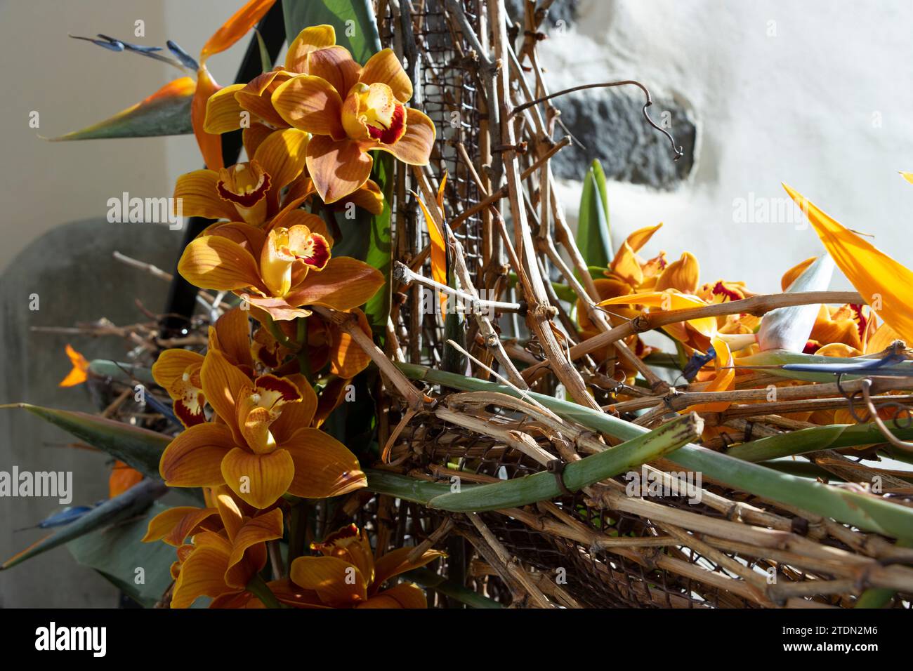 incrocio di orchidee, strelitzias e bastoncini di vite, che formano una croce artistica. fiore pasquale di guia de isora Foto Stock