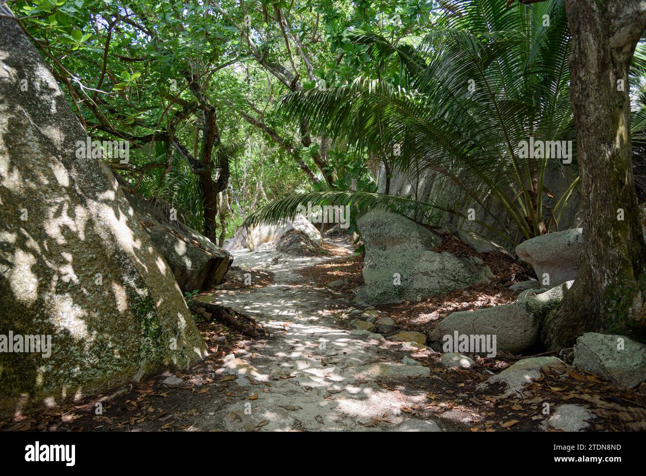 Sentiero sabbioso attraverso vegetazione tropicale e massi di granito fino alla spiaggia di Anse Source d'Argent, l'isola di la Digue, le Seychelles e l'Oceano Indiano Foto Stock