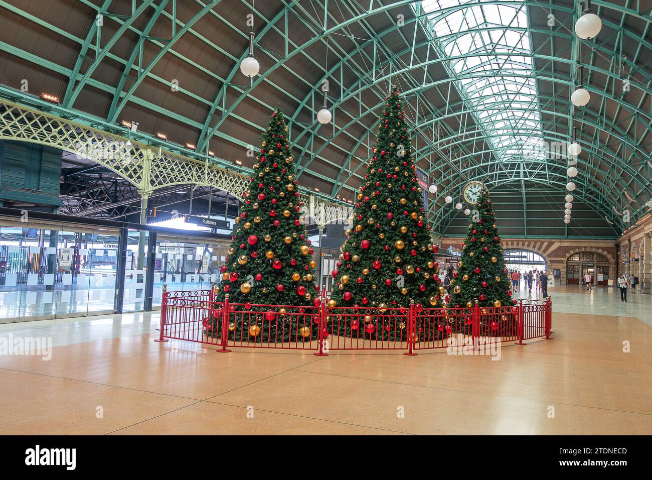 Tre grandi alberi di Natale completamente decorati all'interno della stazione ferroviaria centrale di Sydney, di giorno, con persone che camminano sullo sfondo. Foto Stock