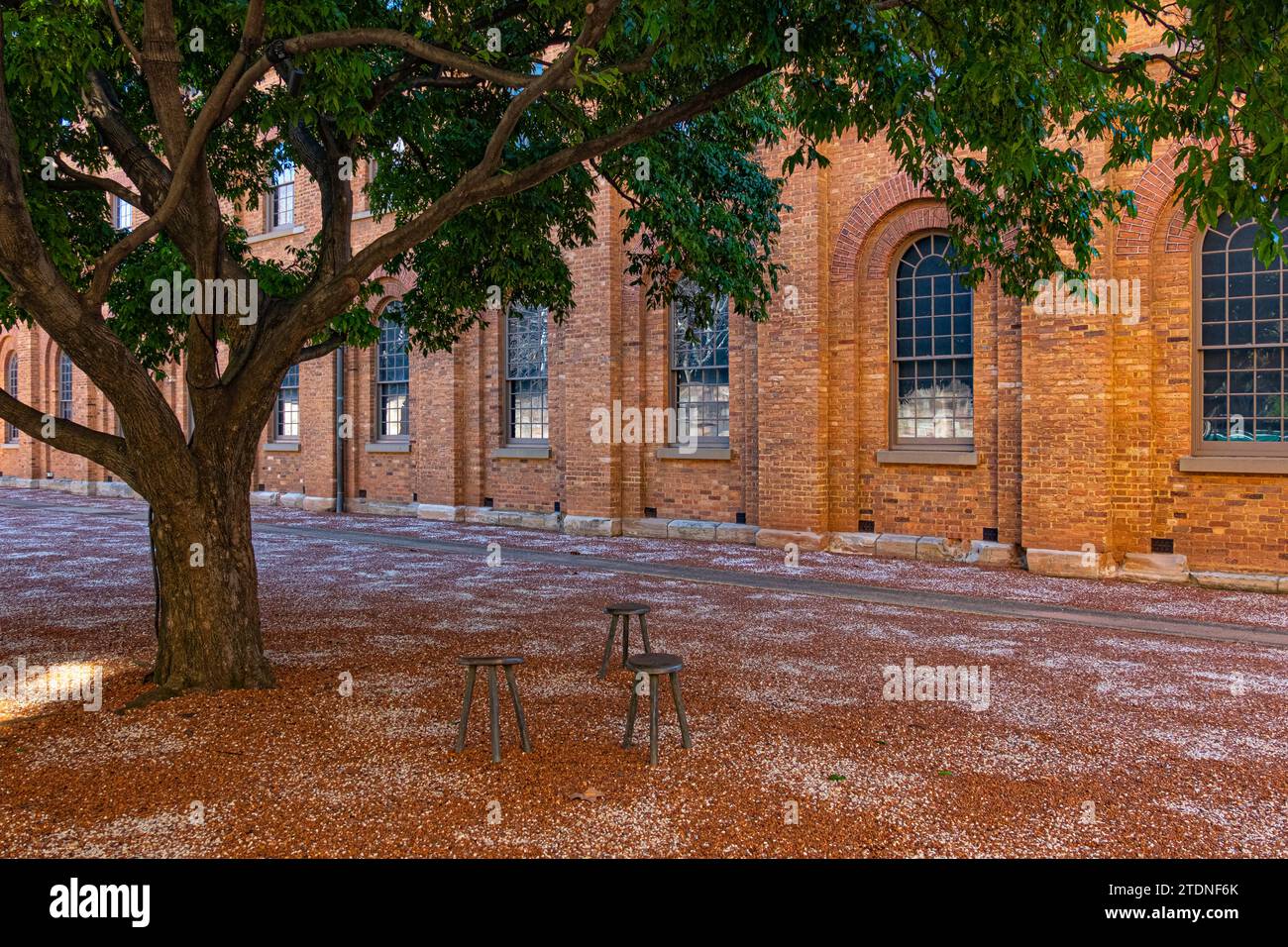 Hyde Park Barracks a Sydney, Australia, è un sito patrimonio dell'umanità dell'UNESCO. Foto Stock